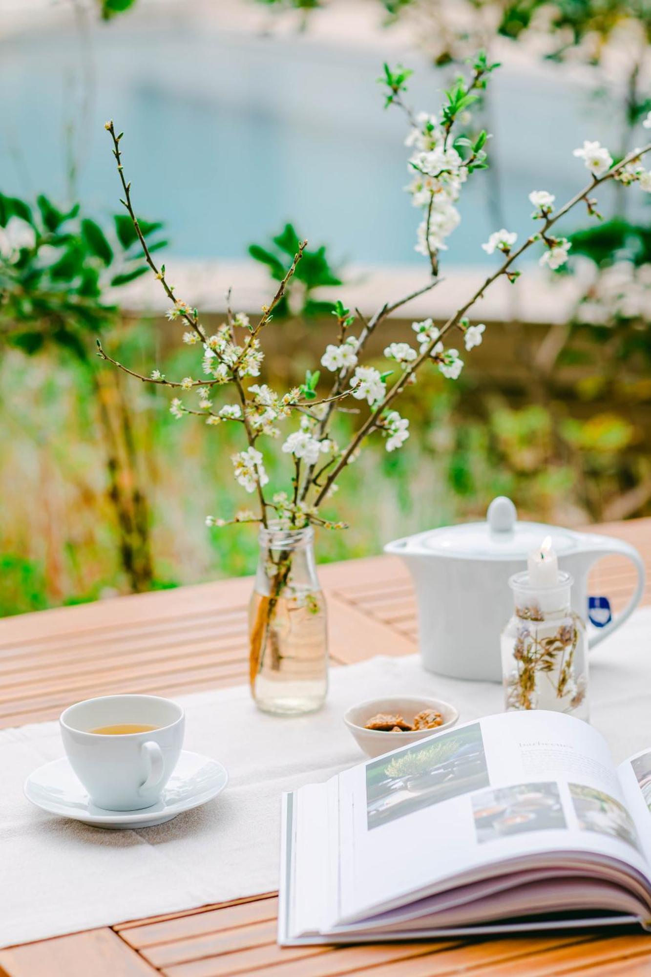 The Nest By Cooking And Nature Alvados Bagian luar foto