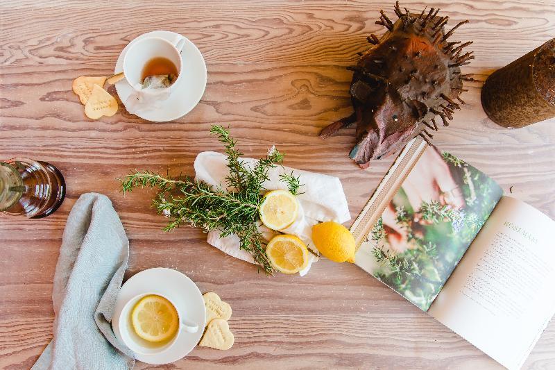 The Nest By Cooking And Nature Alvados Bagian luar foto